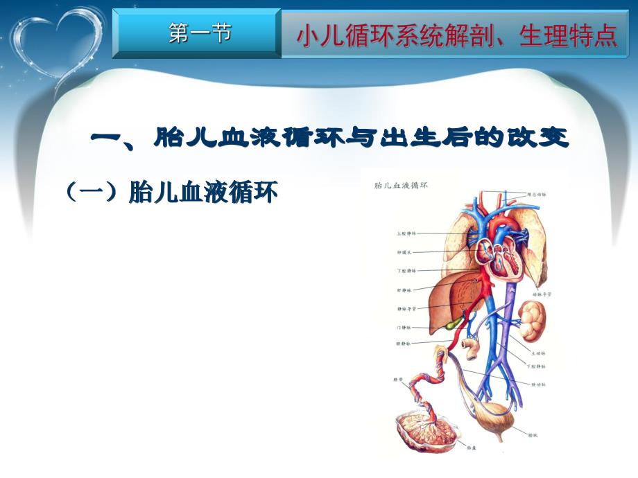 循环系统疾病患儿护理.ppt.ppt_第3页