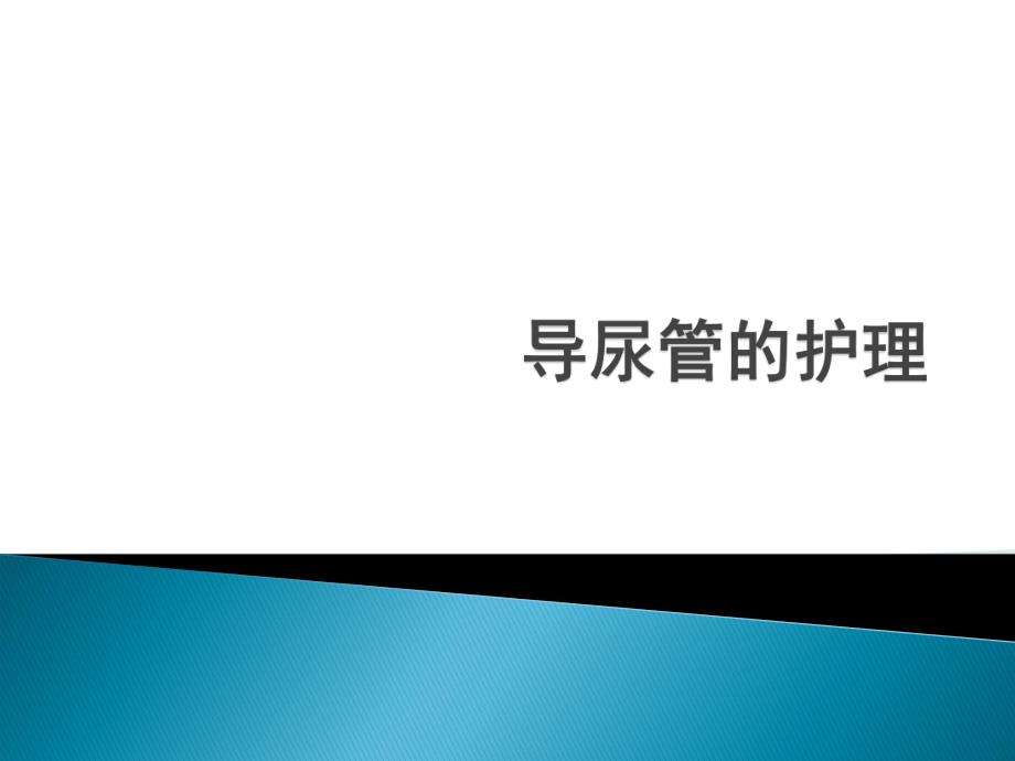 导尿术管的护理.ppt_第1页