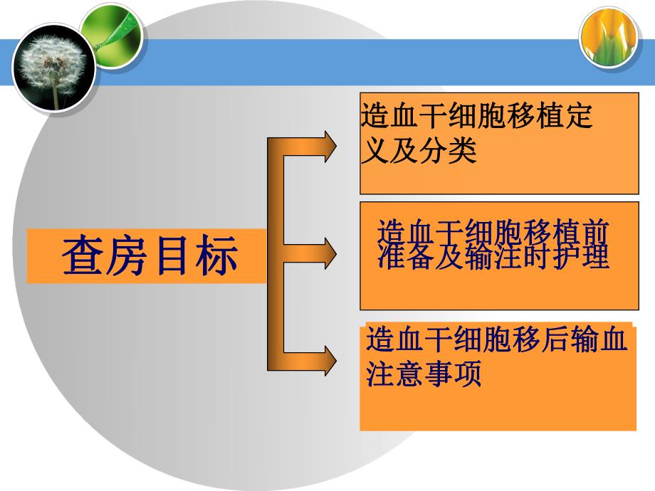 异基因造血干细胞移植护理.ppt_第2页