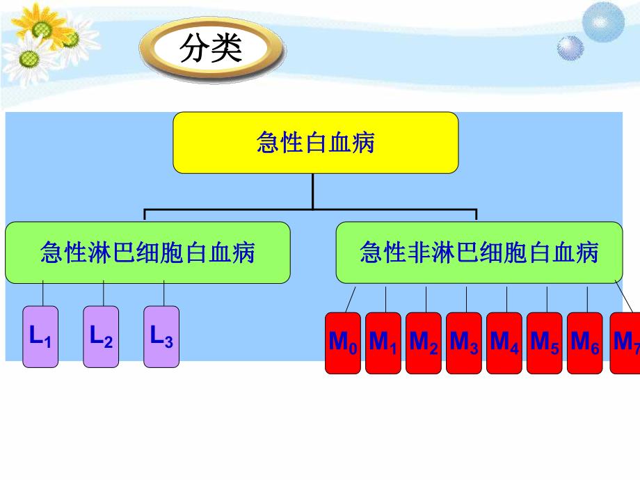 急性白血病护理查房.ppt_第3页