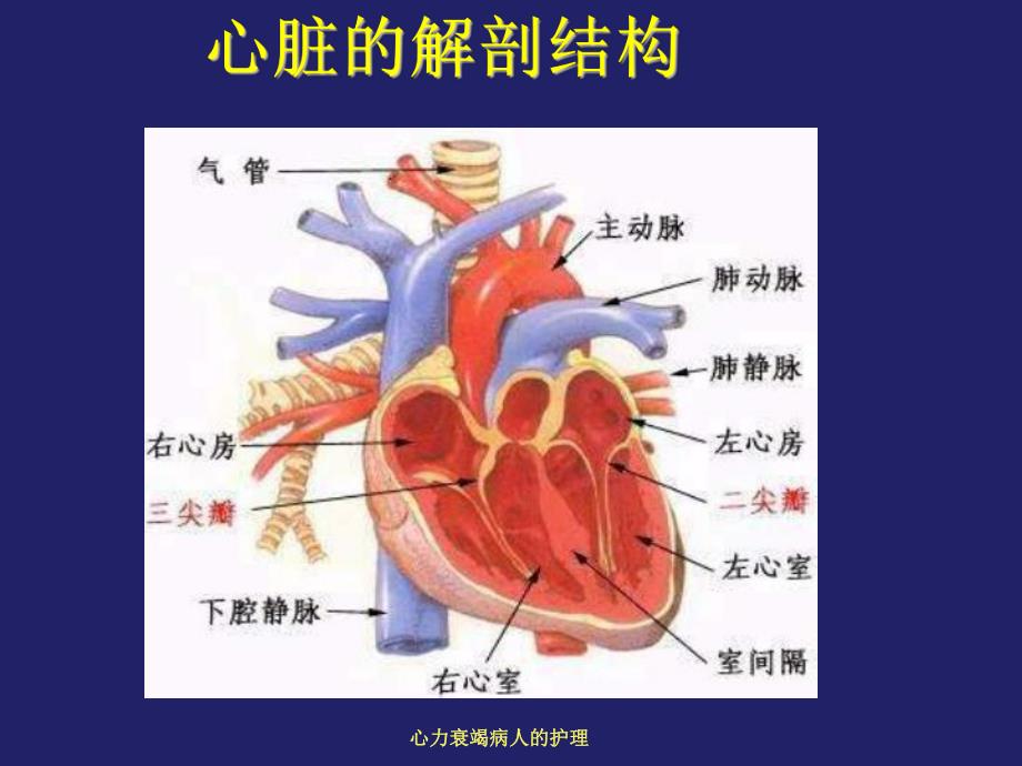 心力衰竭病人的护理.ppt_第3页