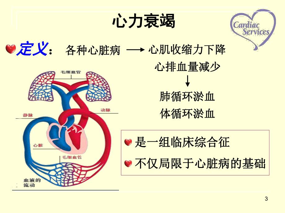 心力衰竭病人的护理查房(ppt).ppt_第3页