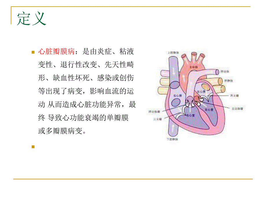 心脏瓣膜病的护理查房.ppt_第2页