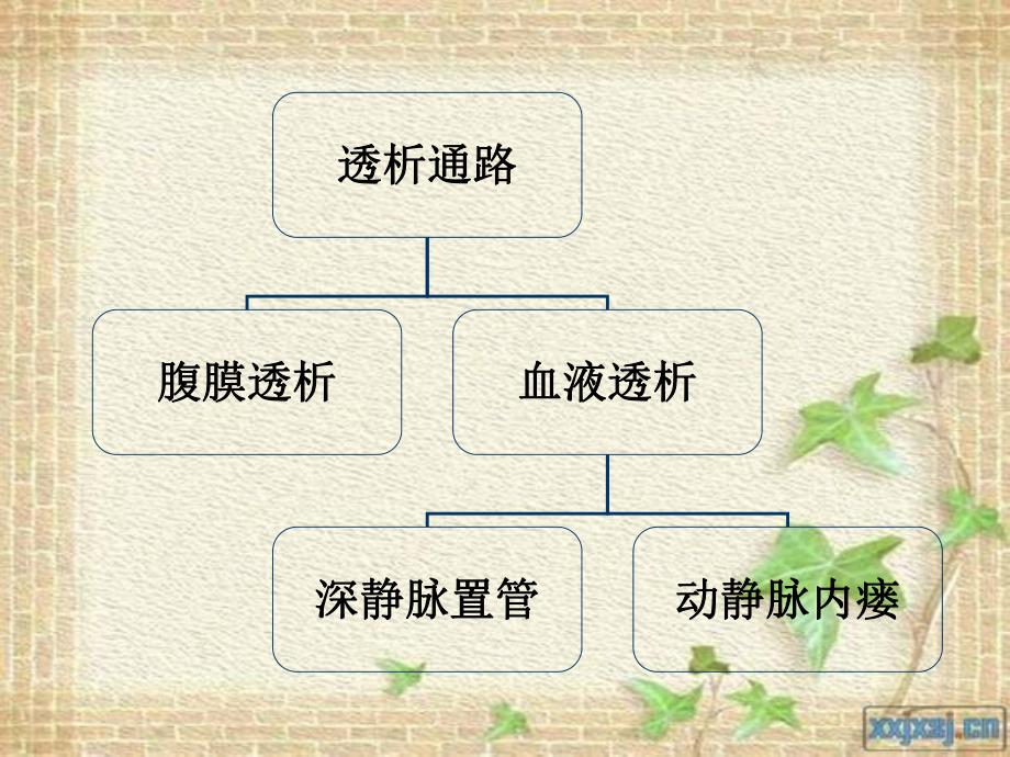 动静脉内瘘及护理讲座.ppt_第2页