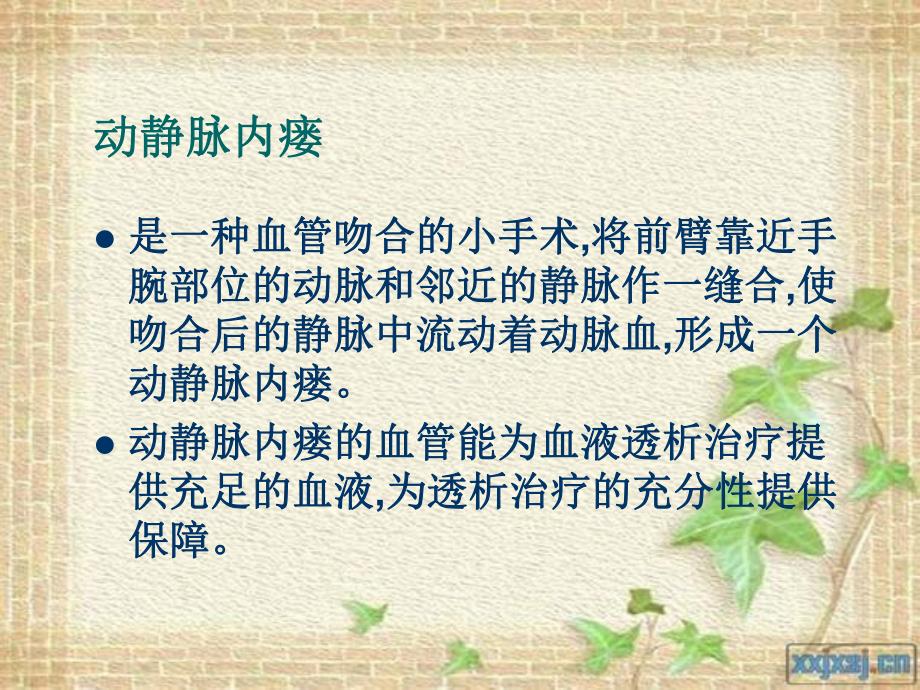 动静脉内瘘及护理讲座.ppt_第3页