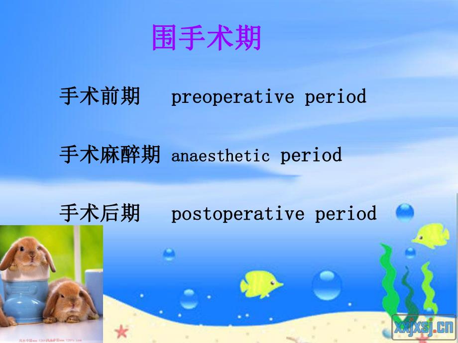 围手术期病人的护理.ppt_第3页