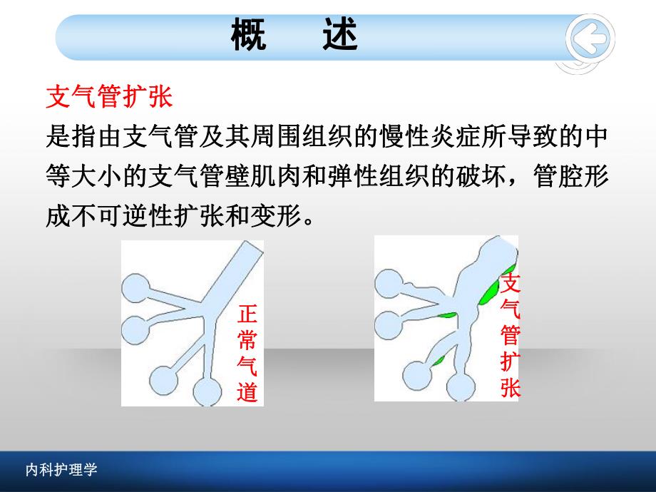 支气管扩张病人的护理1.ppt_第3页