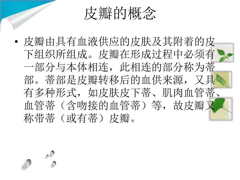 皮瓣的观察与护理.ppt_第3页