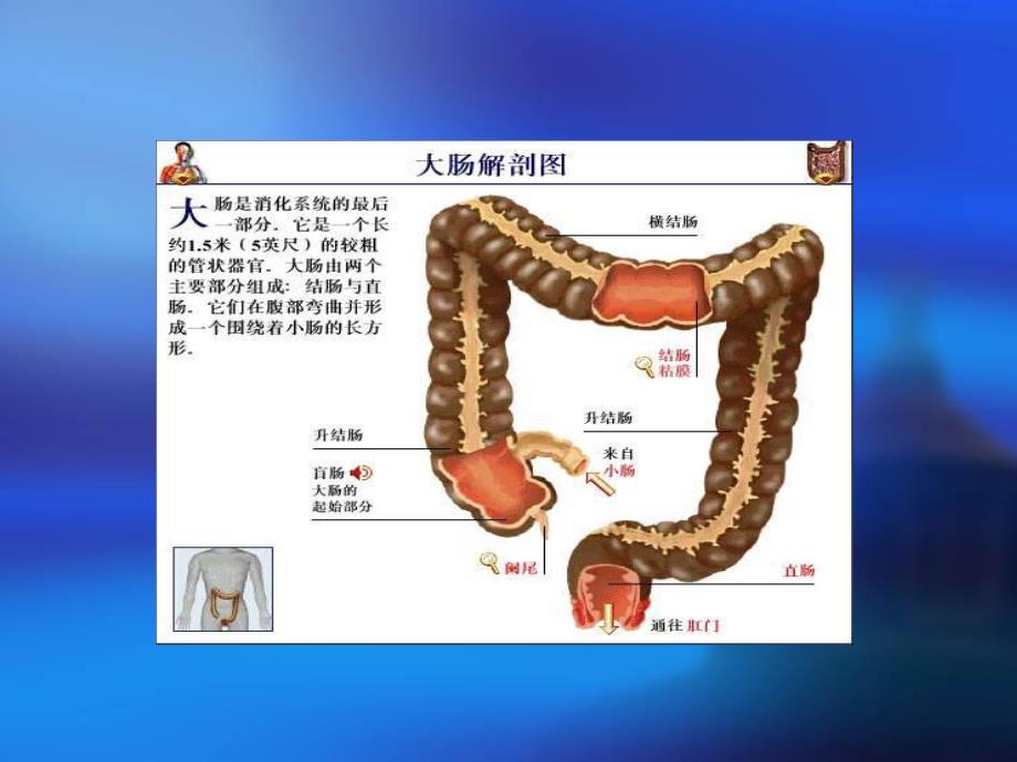 直肠癌的护理ppt.ppt_第2页