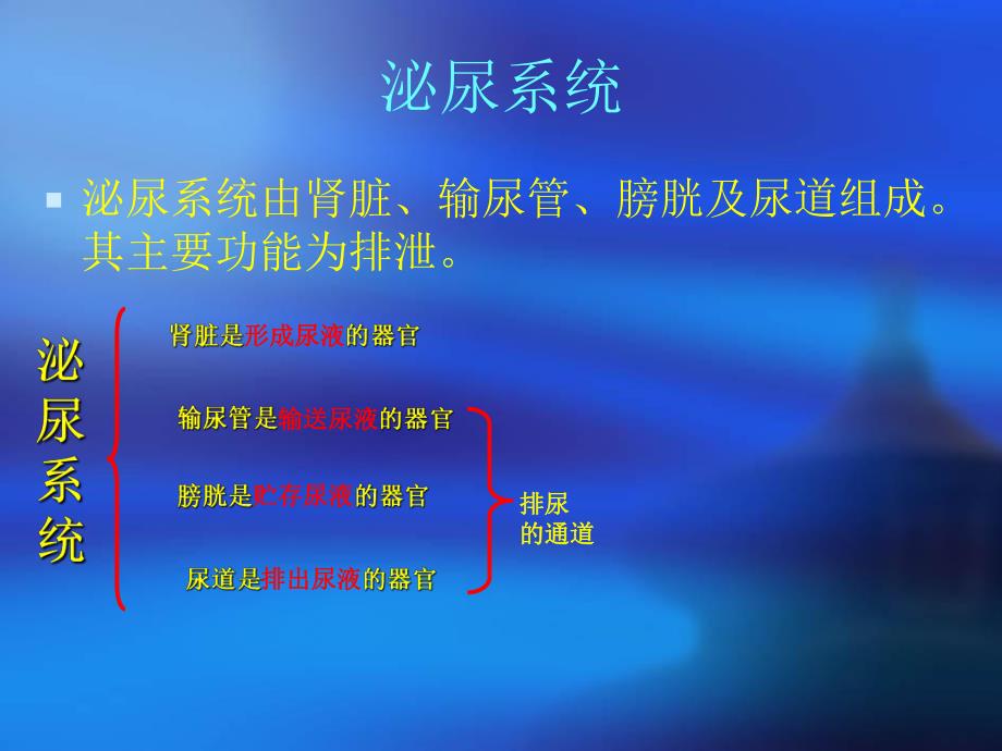 留置导尿的护理.ppt.ppt_第2页