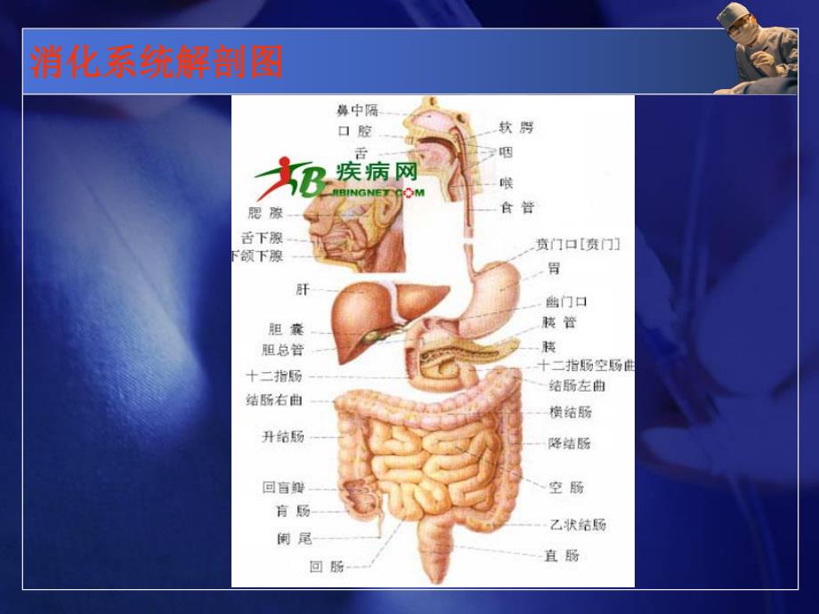 消化系统症状的护理.ppt_第3页