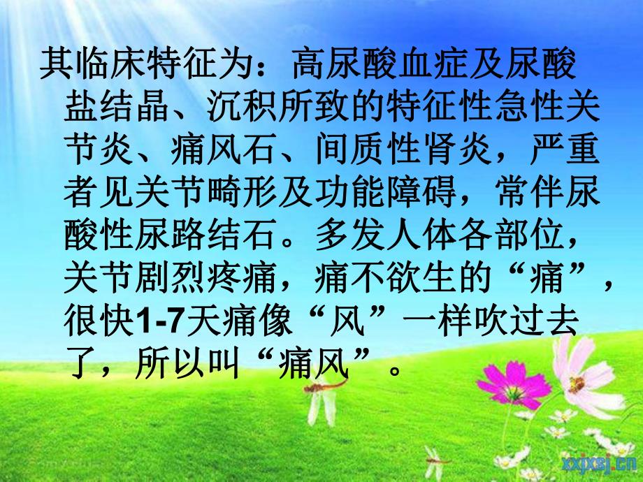 痛风病人的护理.ppt_第3页