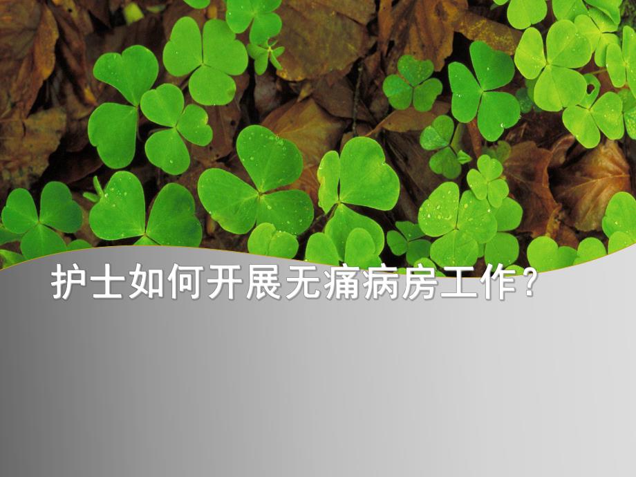 癌痛规范化治疗示范病房护士职责.ppt_第1页