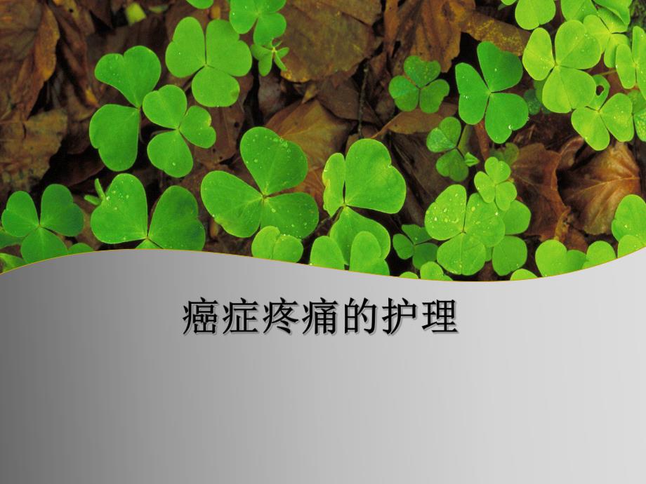 癌症疼痛的护理.ppt_第1页