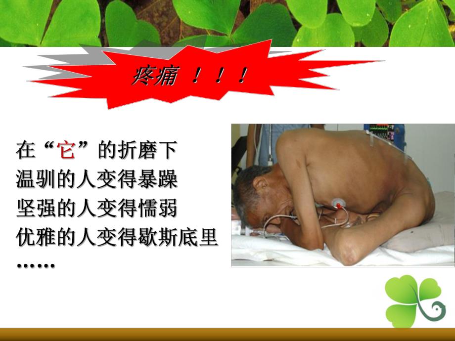 癌症疼痛的护理.ppt_第2页