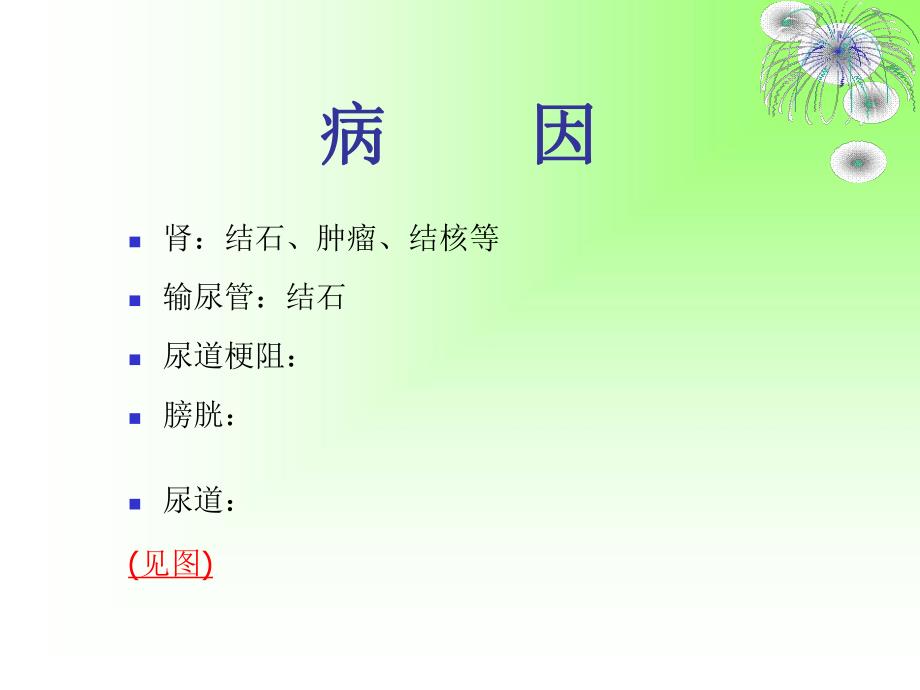 泌尿系梗阻病人的护理.ppt_第3页