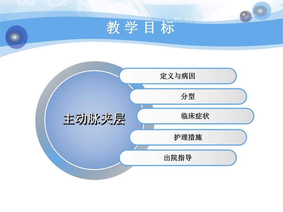 主动脉夹层的护理.ppt_第2页