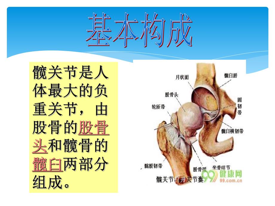 全髋关节置换术后护理查房..ppt_第2页