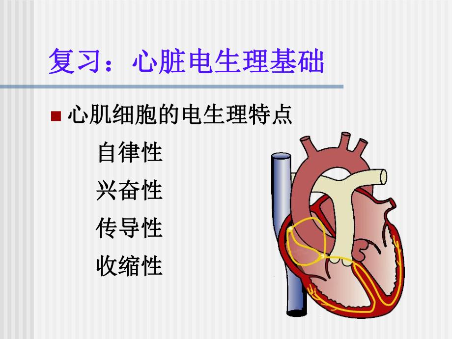 临时起搏器护理.ppt_第2页