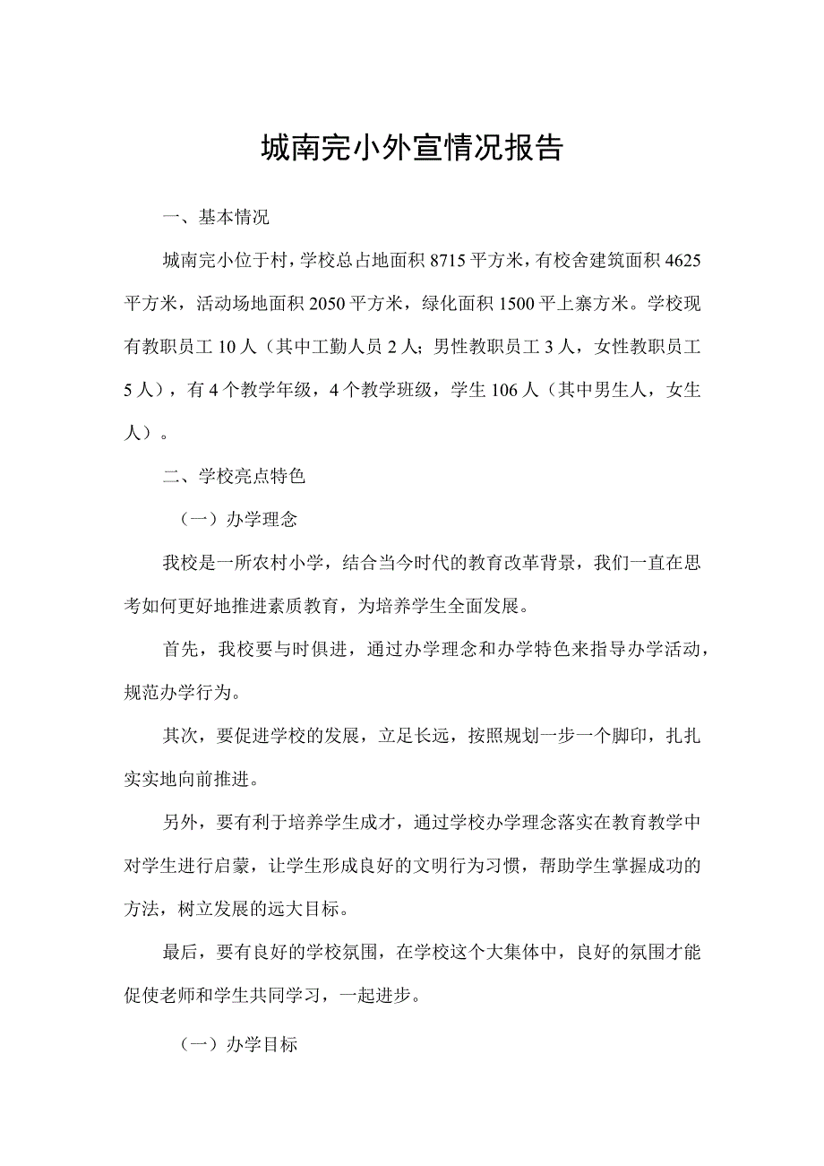 城南完小外宣情况报告.docx_第1页