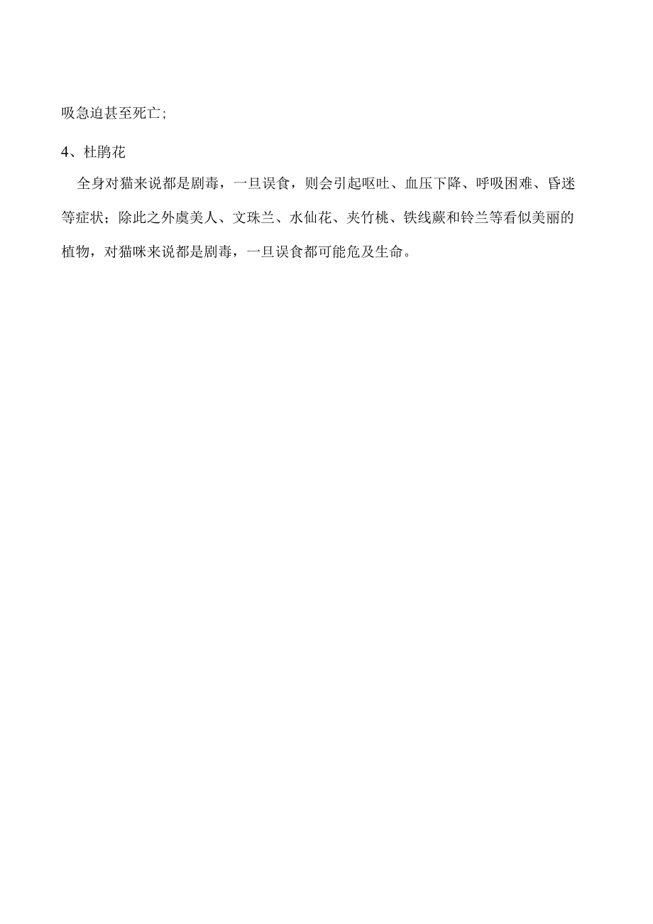 吊兰对猫有毒吗.docx_第2页