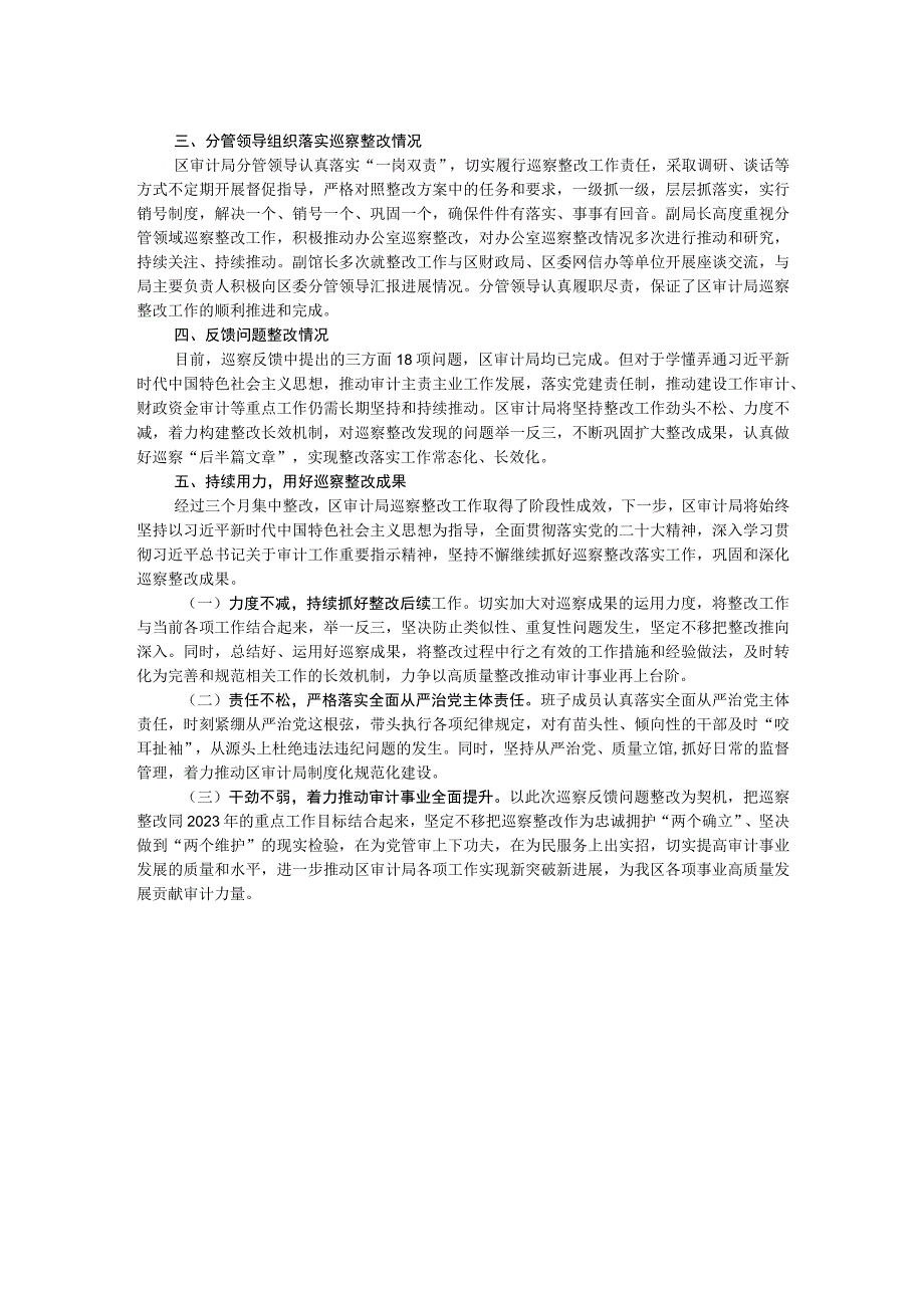 区审计局巡察整改评估报告.docx_第2页