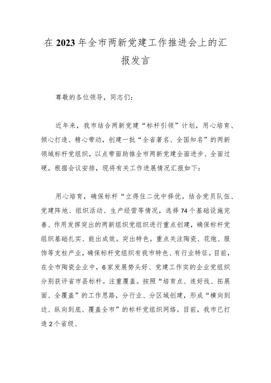 在2023年全市两新党建工作推进会上的汇报发言.docx_第1页