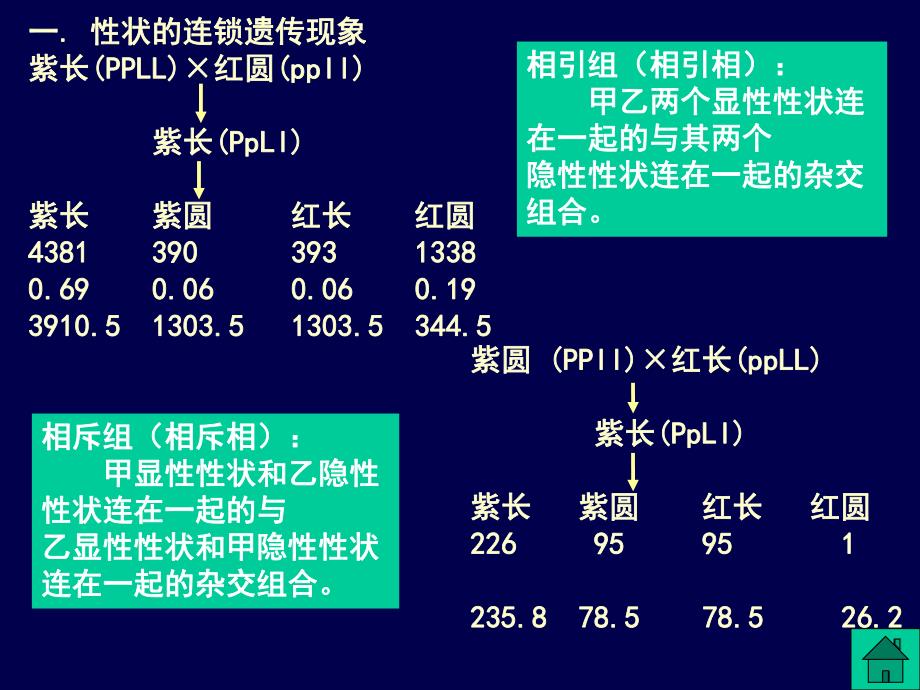 第2章遗传定律3.ppt_第2页