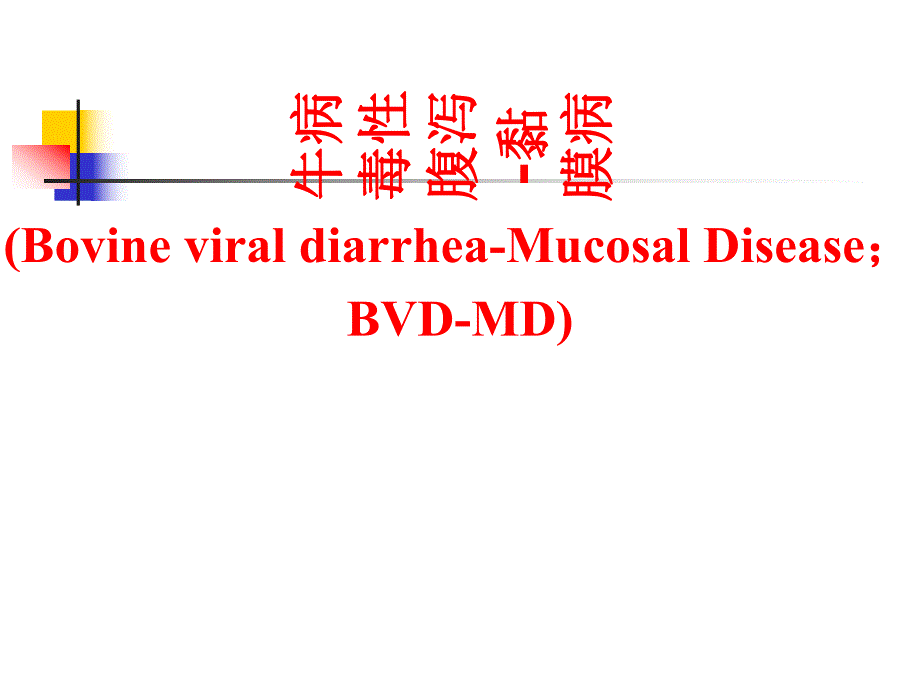 第2节牛病毒性腹泻粘膜病.ppt_第1页