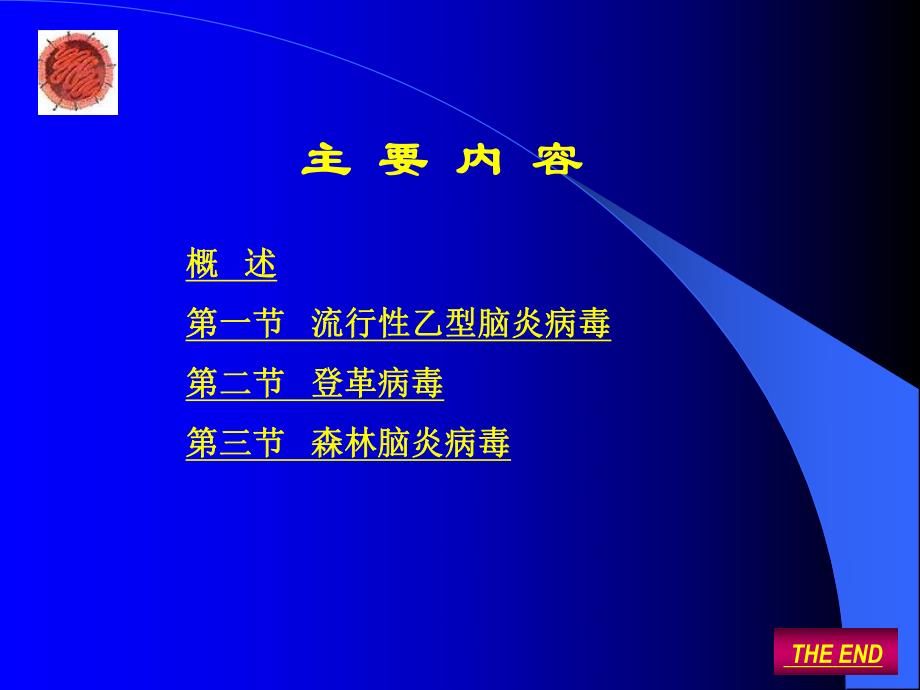 第31章黄病毒flavivirus名师编辑PPT课件.ppt_第2页