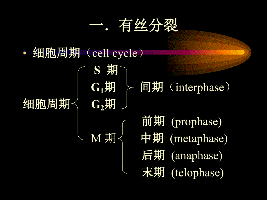 第2讲遗传的染色体学说.ppt_第2页