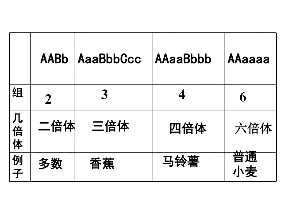 第2节染色体2.ppt_第3页