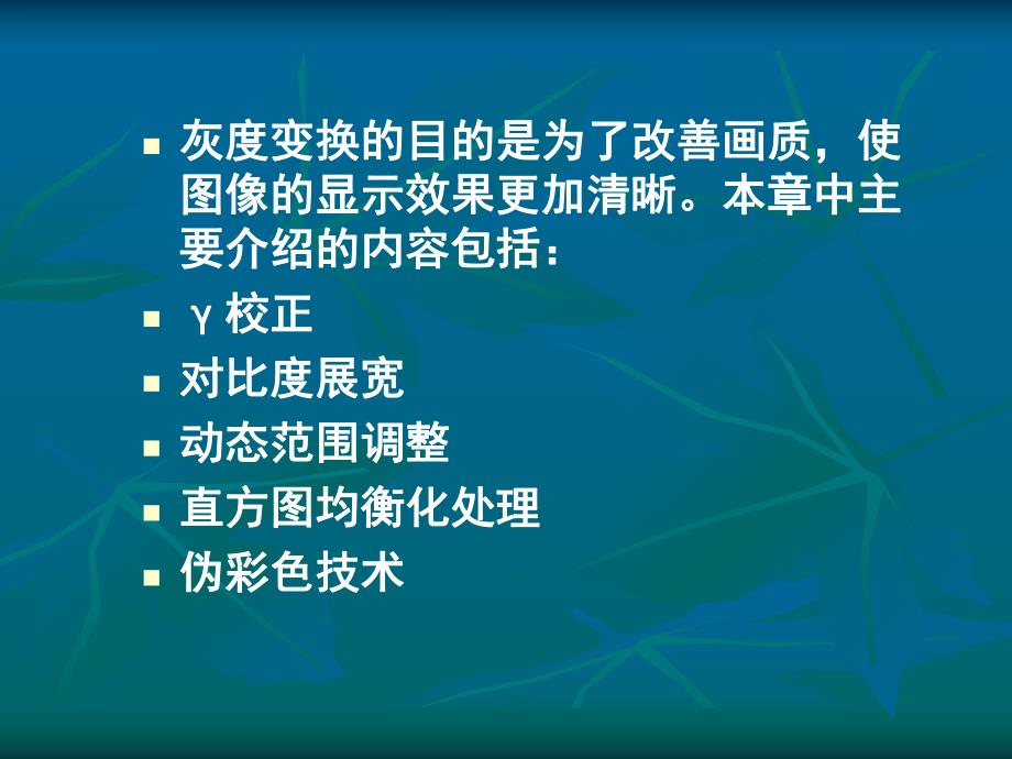 第3章灰度级变换.ppt_第2页