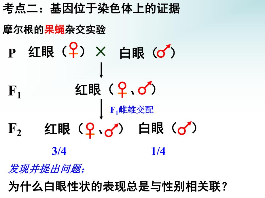 第2部分基因在染色体上名师编辑PPT课件.ppt_第3页