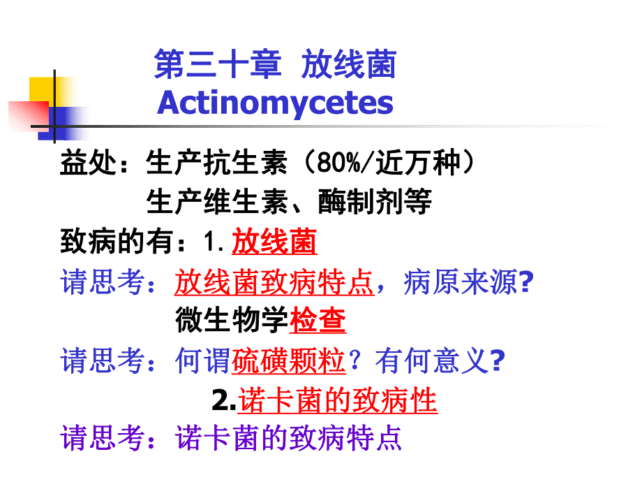 第30章放线菌.ppt_第2页