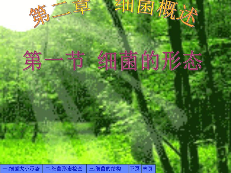 第2章细菌概述第1节细菌形态与结构.ppt_第1页