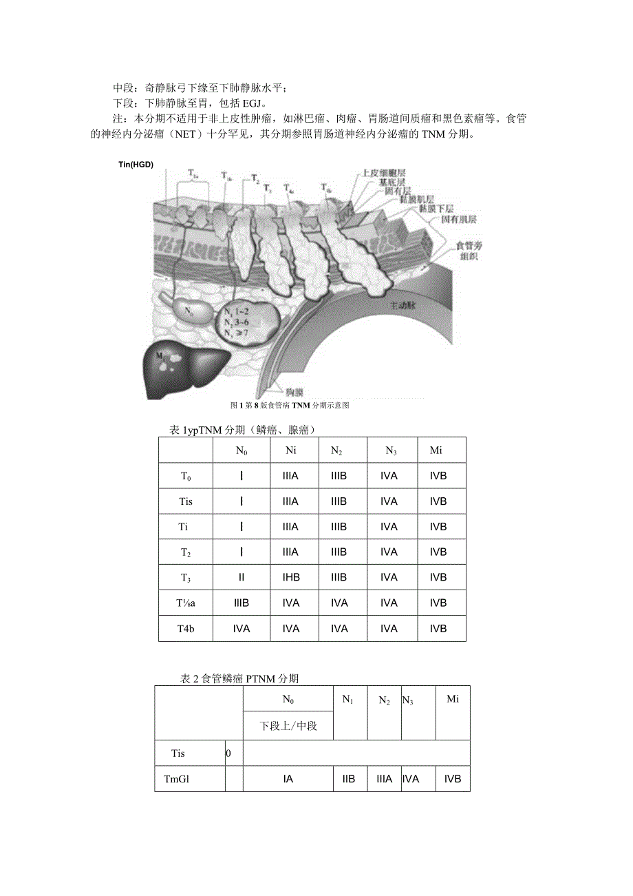 食管癌TNM分期第8版.docx_第2页