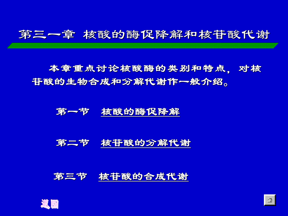 第31章核酸的酶促降解和核苷酸代谢.ppt_第1页