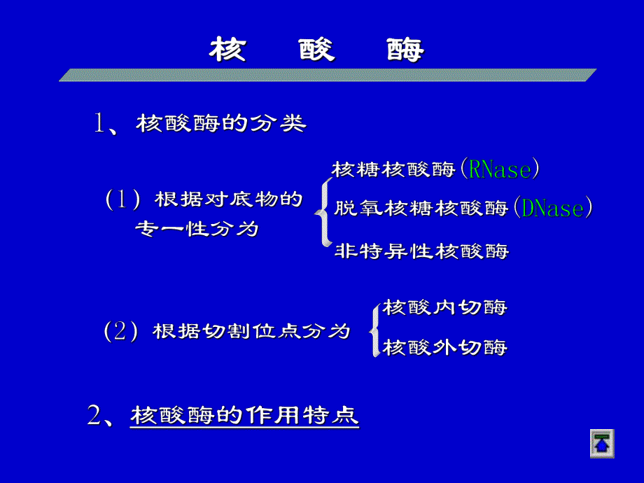 第31章核酸的酶促降解和核苷酸代谢.ppt_第3页