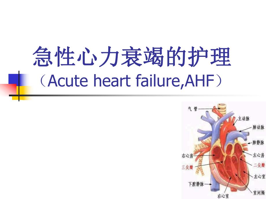 【医学课件】急性心力衰竭的护理.ppt_第1页