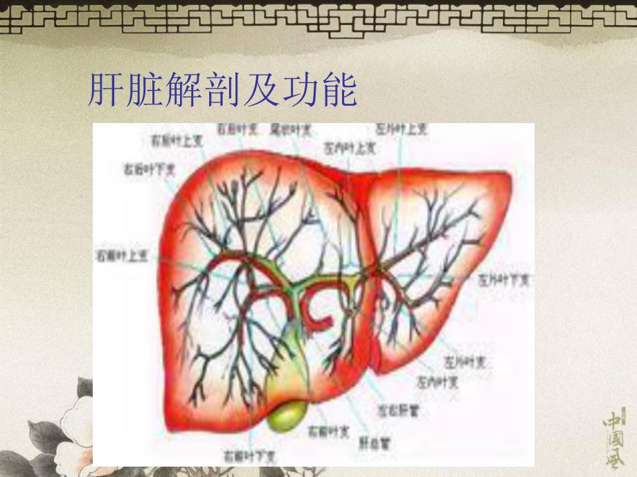 护理查房肝硬化.ppt_第2页