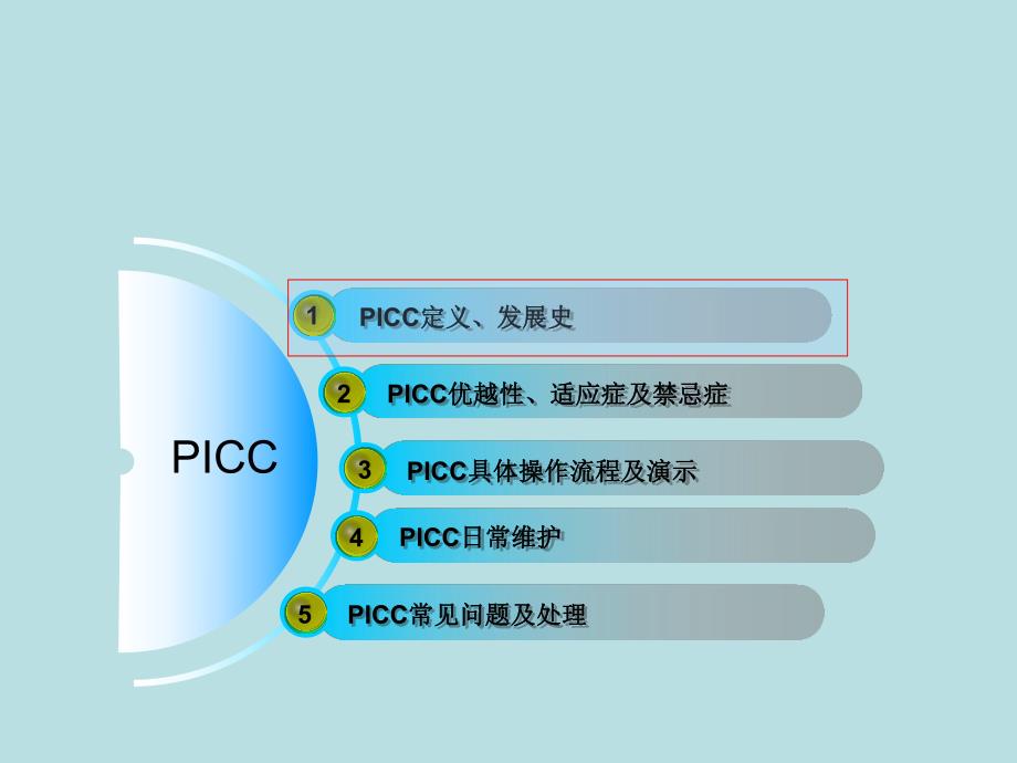 PICC置管及维护.ppt.ppt_第2页