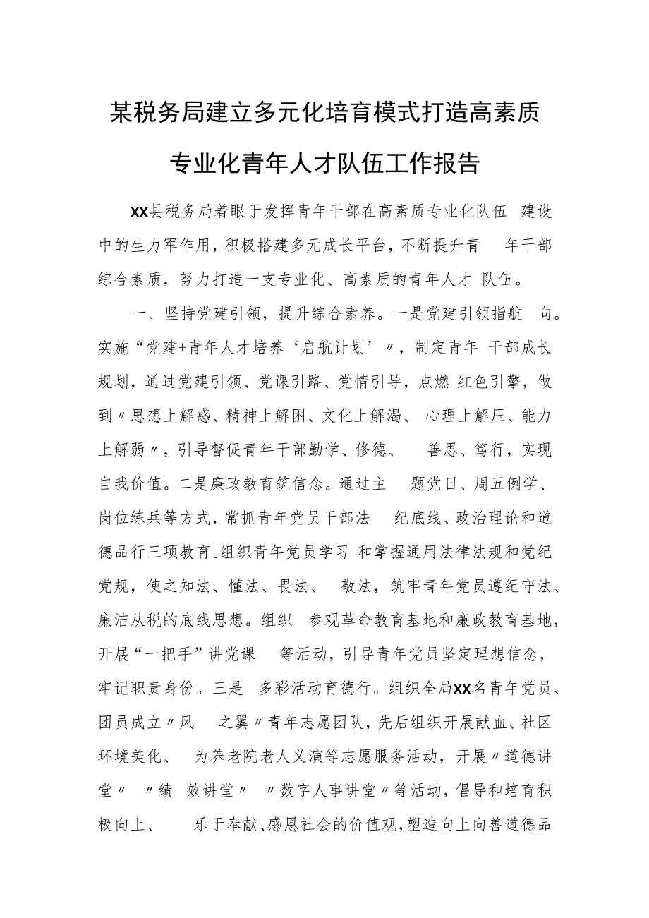 某税务局建立多元化培育模式打造高素质专业化青年人才队伍工作报告.docx_第1页