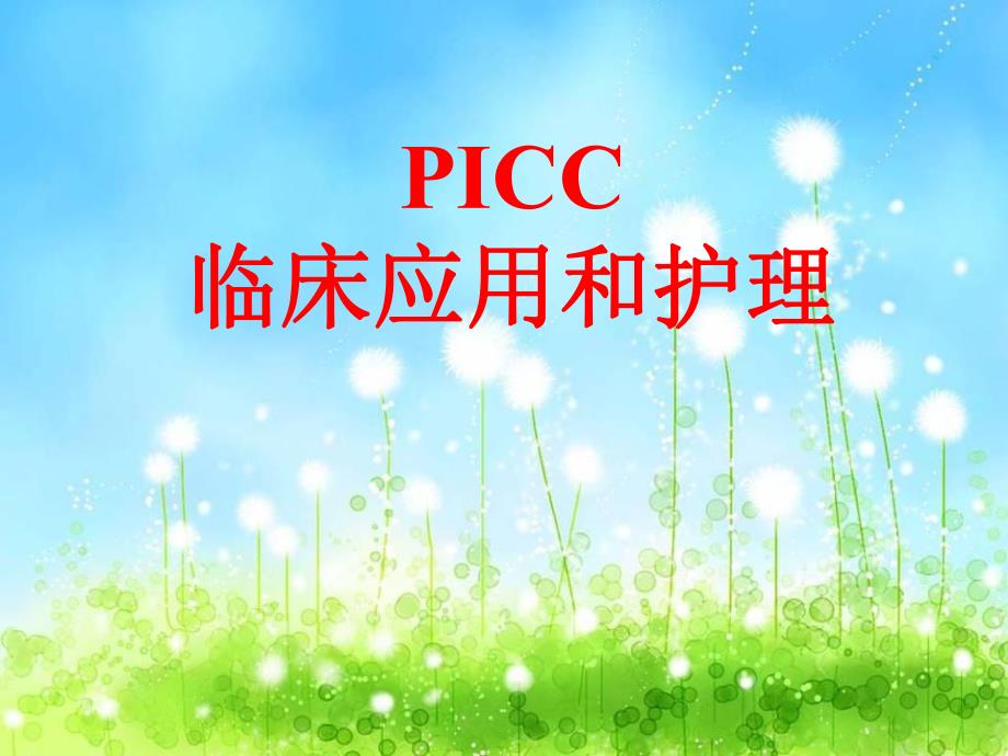 picc护理查房[精品].ppt_第1页