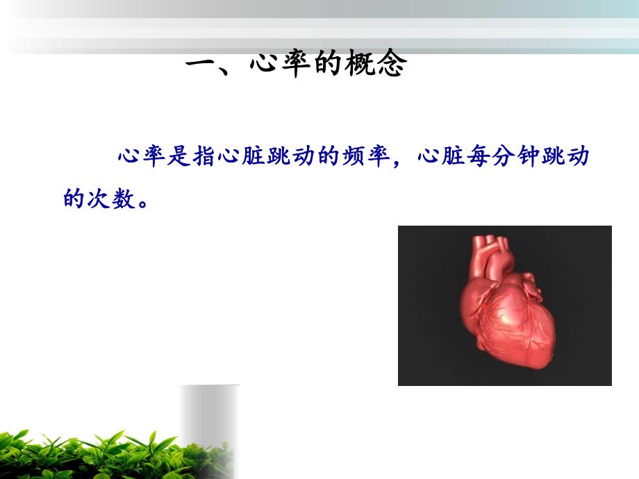 脉搏的观察与护理.ppt_第3页