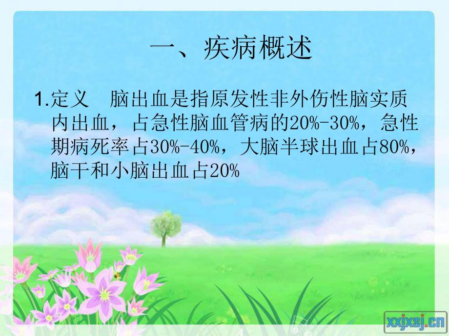 脑出血护理查房.ppt_第2页