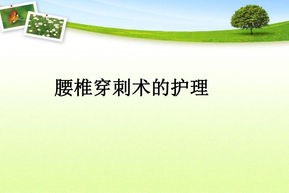 腰椎穿刺术的护理..ppt_第1页