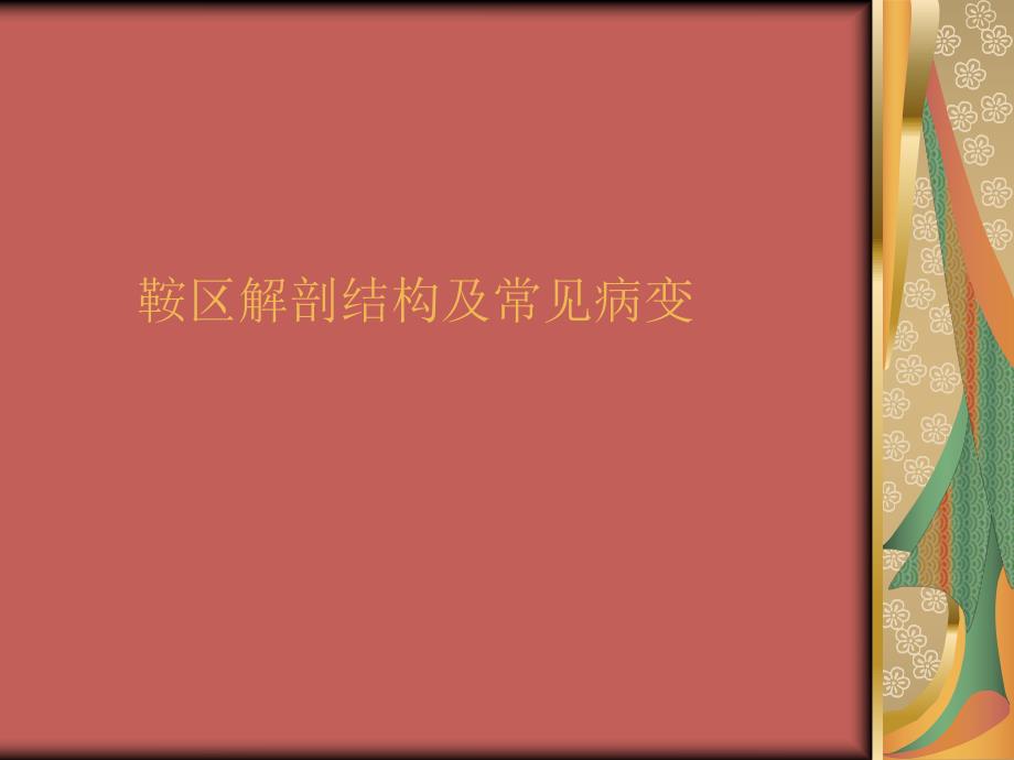 鞍区占位的围手术期护理.ppt_第1页