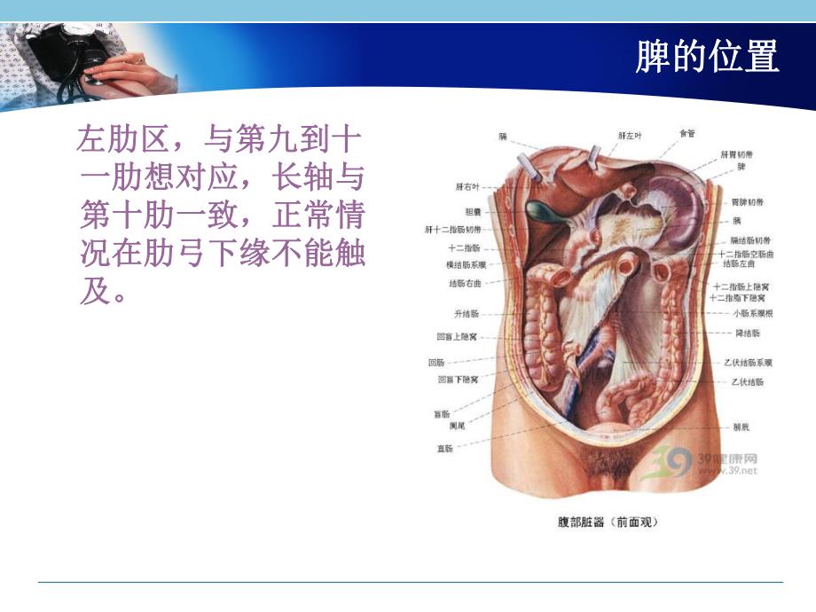 脾破裂的急救与护理.ppt_第3页