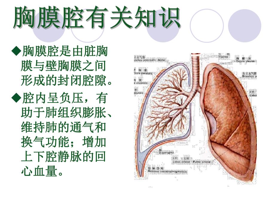 胸腔闭式引流及护理.ppt_第3页